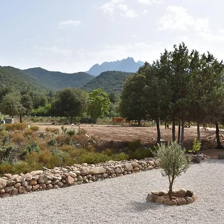 Domaine U Filanciu - Casa Chiara - Centru Di Corsica Moltifao