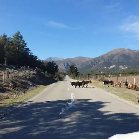 Domaine U Filanciu - Centru Di Corsica