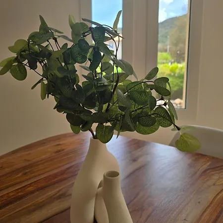 Domaine U Filanciu - Centru Di Corsica Semesterbostad