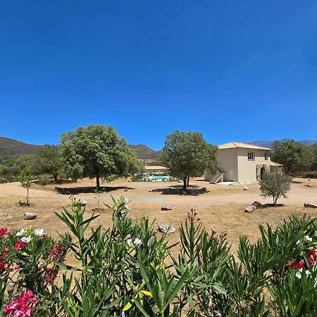 Domaine U Filanciu - Centru Di Corsica Hébergement de vacances Moltifao