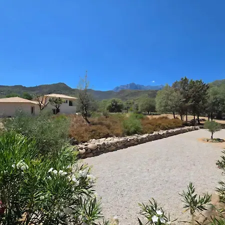 Domaine U Filanciu - Centru Di Corsica Hébergement de vacances *
