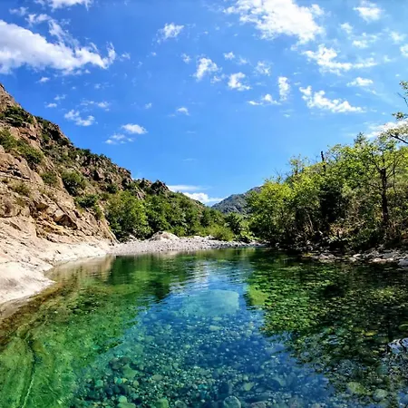 Domaine U Filanciu - Centru Di Corsica Hébergement de vacances Moltifao