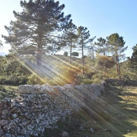 Domaine U Filanciu - Casa Chiara - Centru Di Corsica