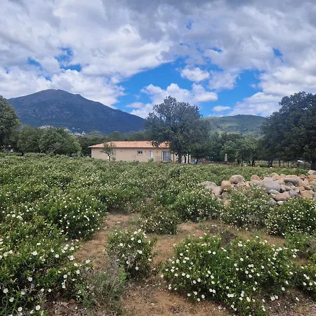 Domaine U Filanciu - Casa Chiara - Centru Di Corsica * Moltifao