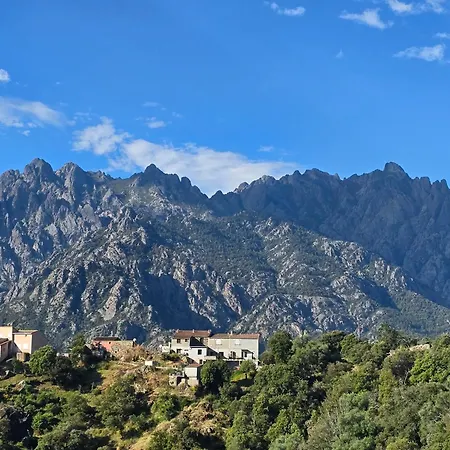 Domaine U Filanciu - Centru Di Corsica 펜션 *