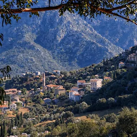 Domaine U Filanciu - Centru Di Corsica Prázdninový dům *