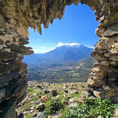 Domaine U Filanciu - Centru Di Corsica