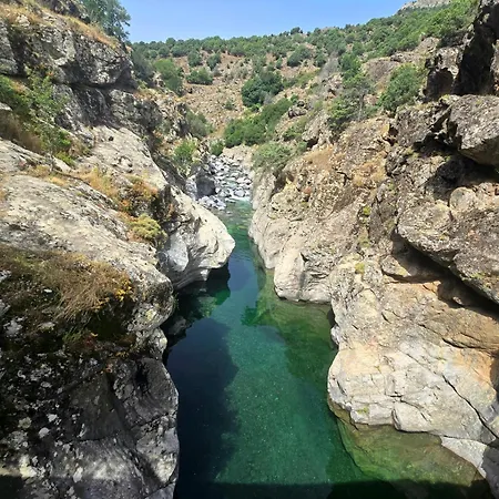 펜션 Domaine U Filanciu - Centru Di Corsica *