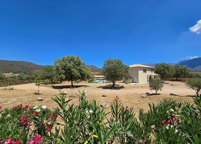 Domaine U Filanciu - Centru Di Corsica Feriehus Moltifao