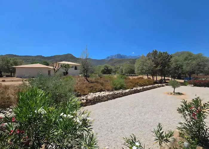 Domaine U Filanciu - Centru Di Corsica Feriehus *
